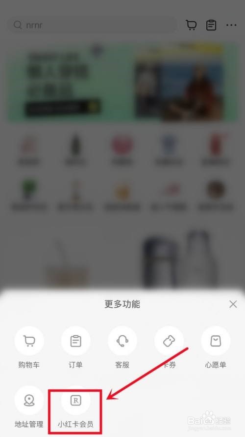 小红书怎么开通会员