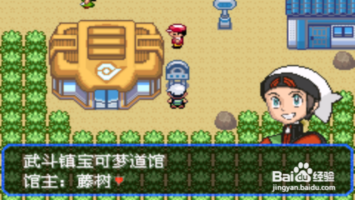 口袋妖怪究极绿宝石4b攻略详细说明