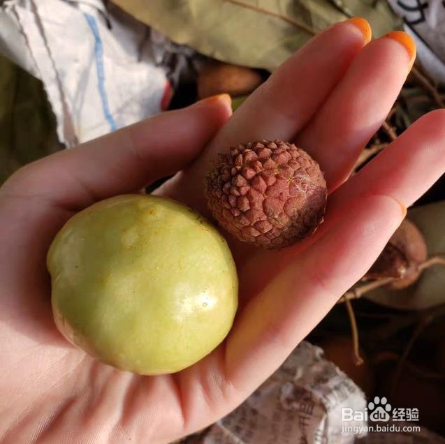 护肤并不能只靠护肤品