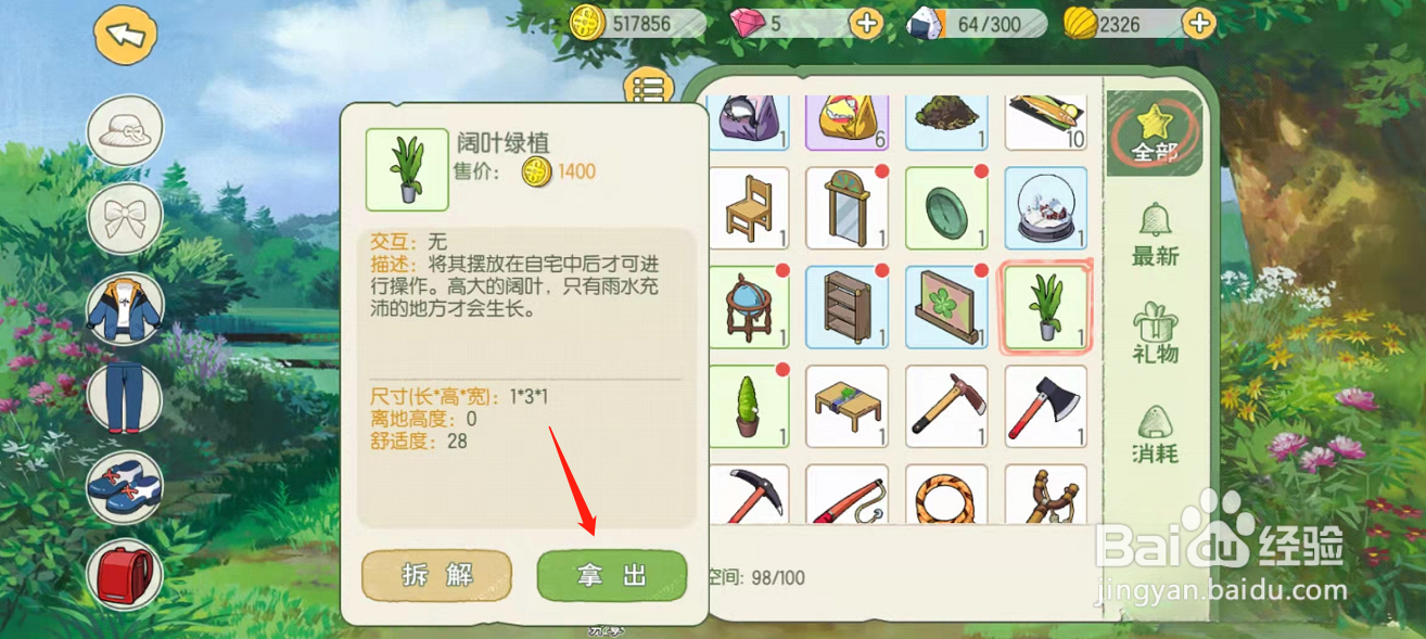 小森生活怎么摆放阔叶绿植