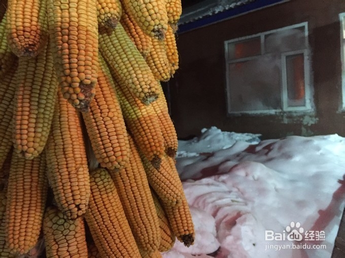 越是冬天越是去北方很合适