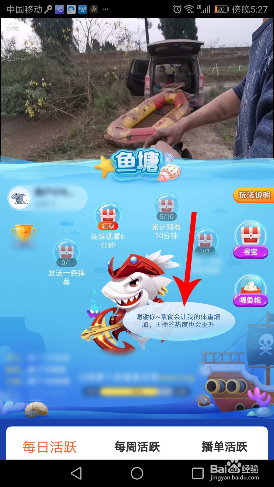 斗鱼鱼粮有什么用