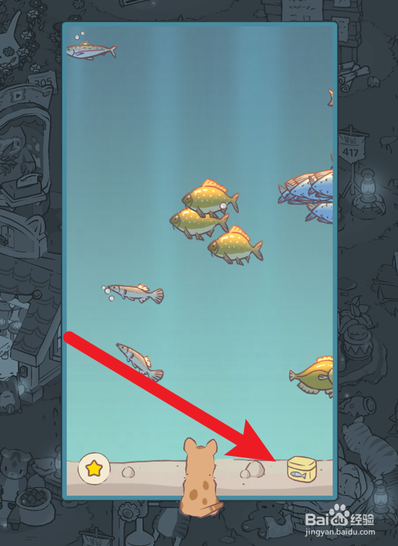 猫咪和汤怎么将鲦鱼放入水族馆