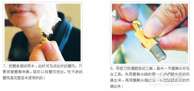 蟹行天下教您怎么吃大闸蟹