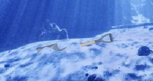 神秘水底洞穴逃生攻略：[1]