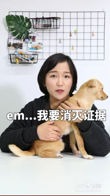 造成狗狗吃便便的原因