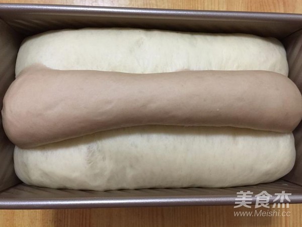 书形记忆面包