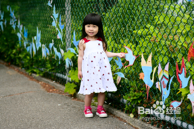 温哥华夜幕下的玫瑰园(组图)