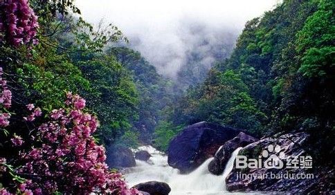 寻访最容易感到快乐的旅行地