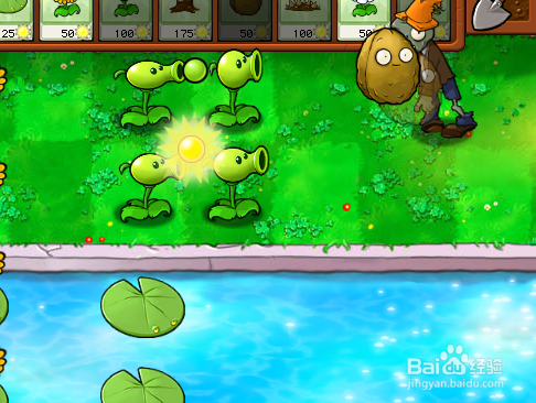 植物大战僵尸如何过泳池