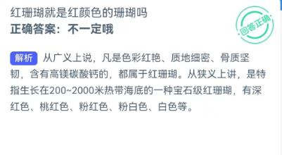 神奇海洋:红珊瑚就是红颜色的珊瑚吗?
