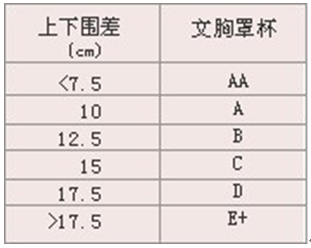 文胸内衣选购技巧