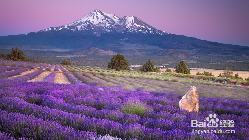 如何收拾婚后邋遢的你