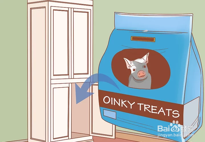 如何训练宠物猪？