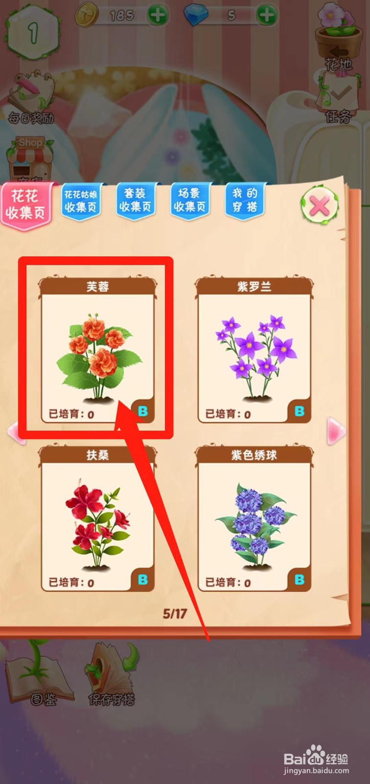 花花姑娘之魔法花园如何查看芙蓉生长速度