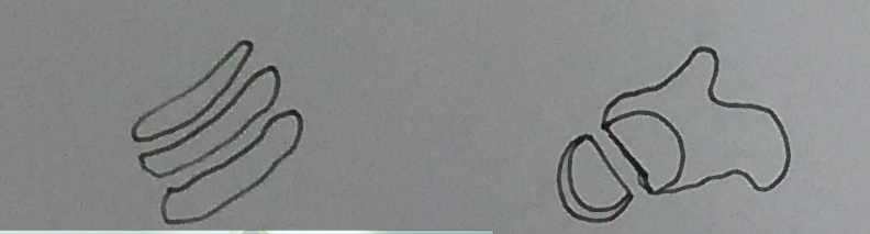 #美食#回锅肉怎么做