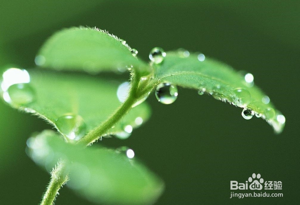 怎么发现糖尿病的初期症状