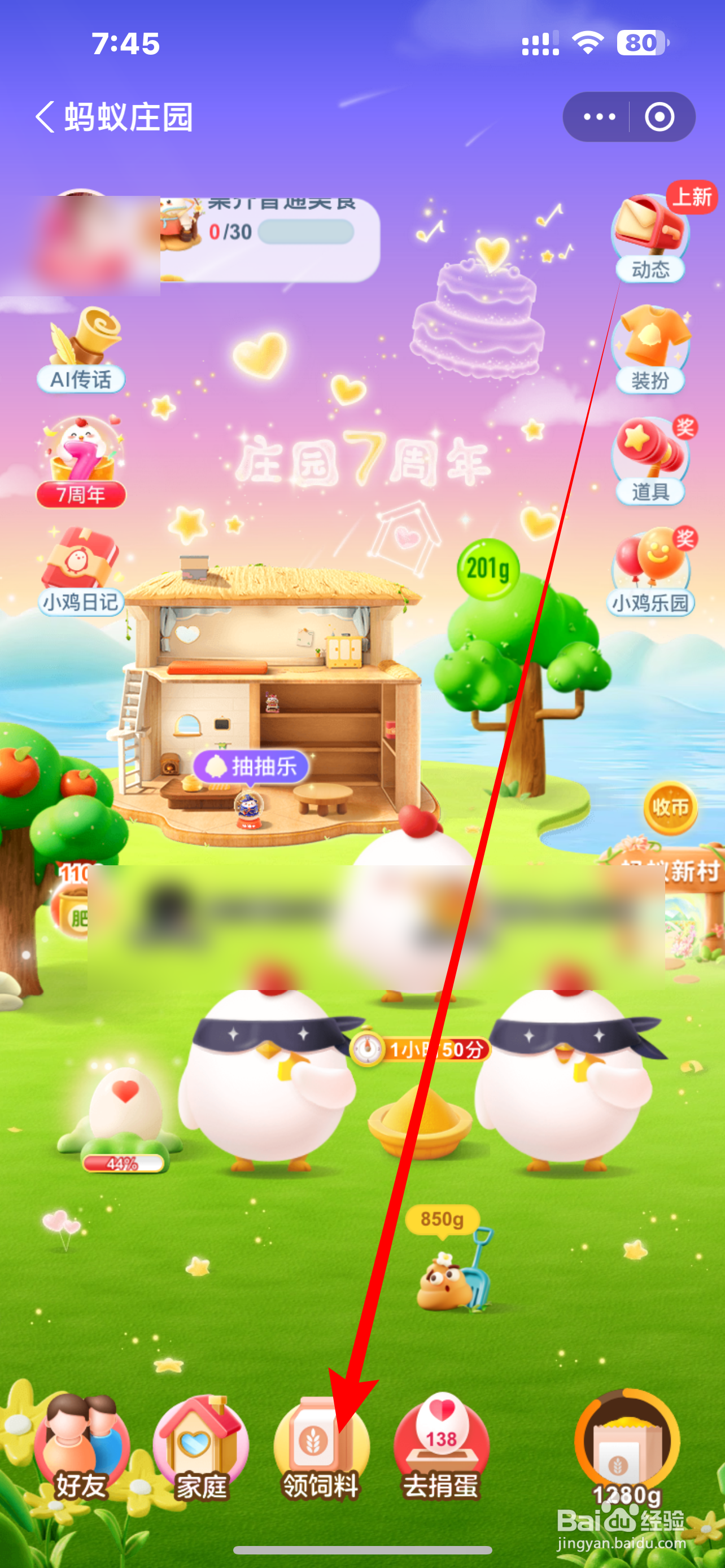 蚂蚁庄园目前企鹅家族中体型最大的企鹅是