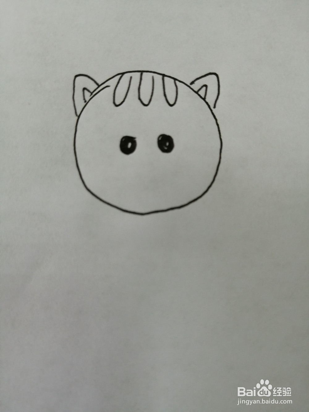 爱吃鱼的小猫咪怎么画