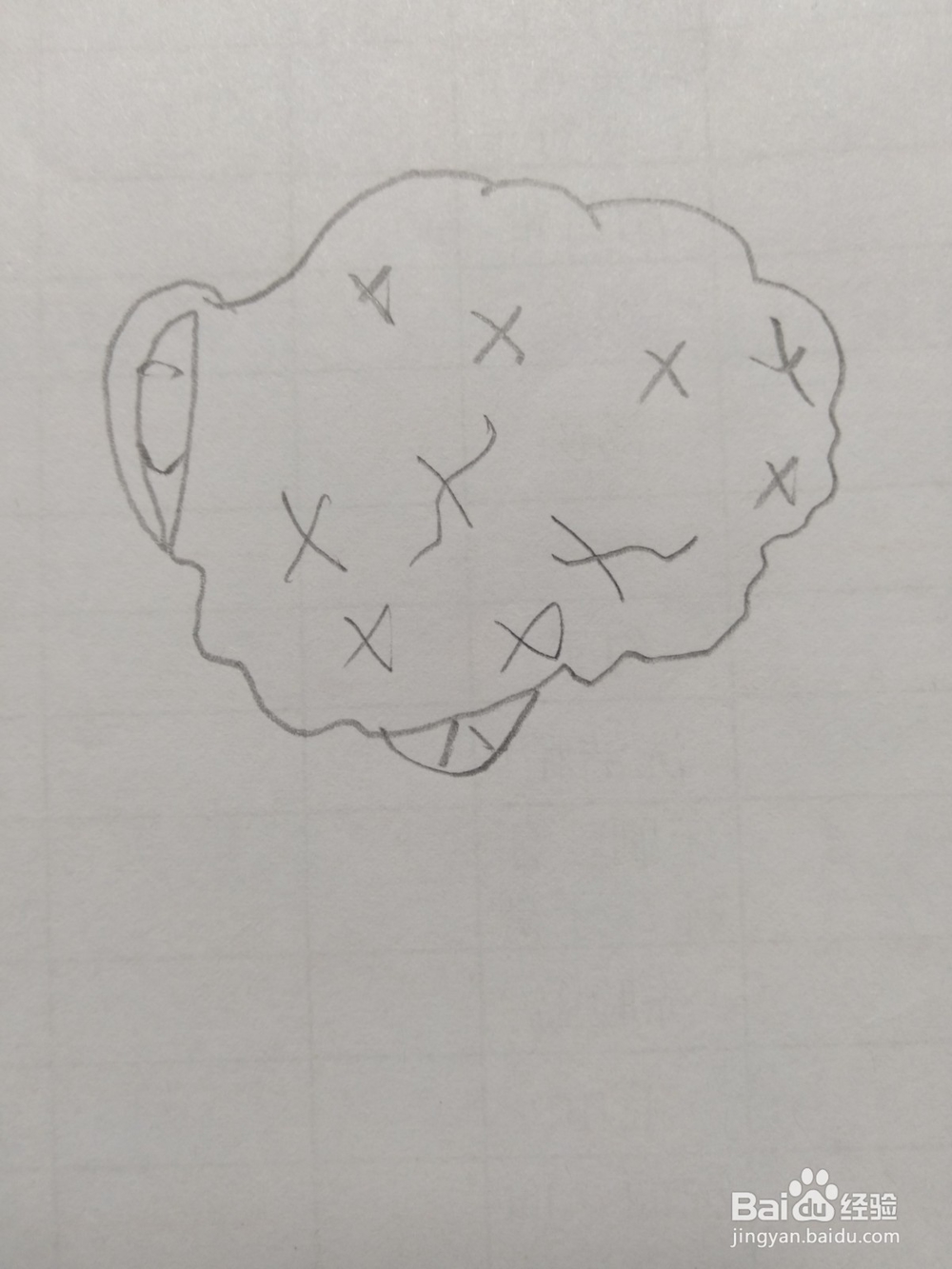 简笔画花菜画法3