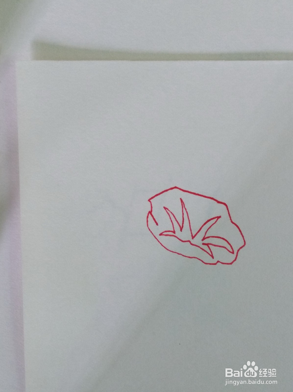 简笔画画喇叭花