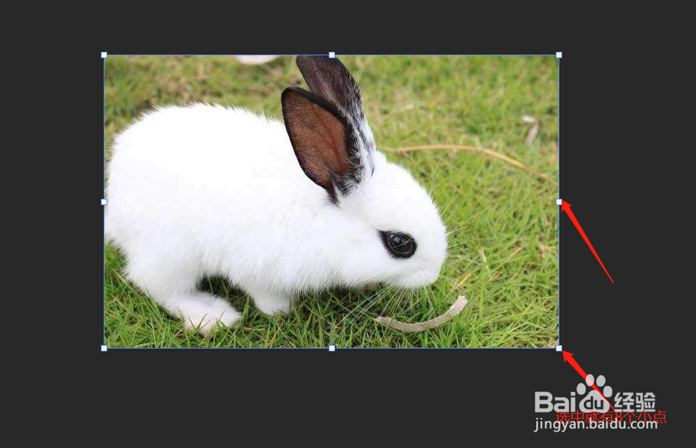 PS怎么水平旋转图片