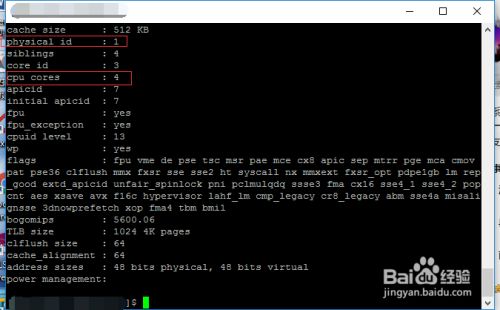 linux如何查看cpu个数（颗数/核数）及型号