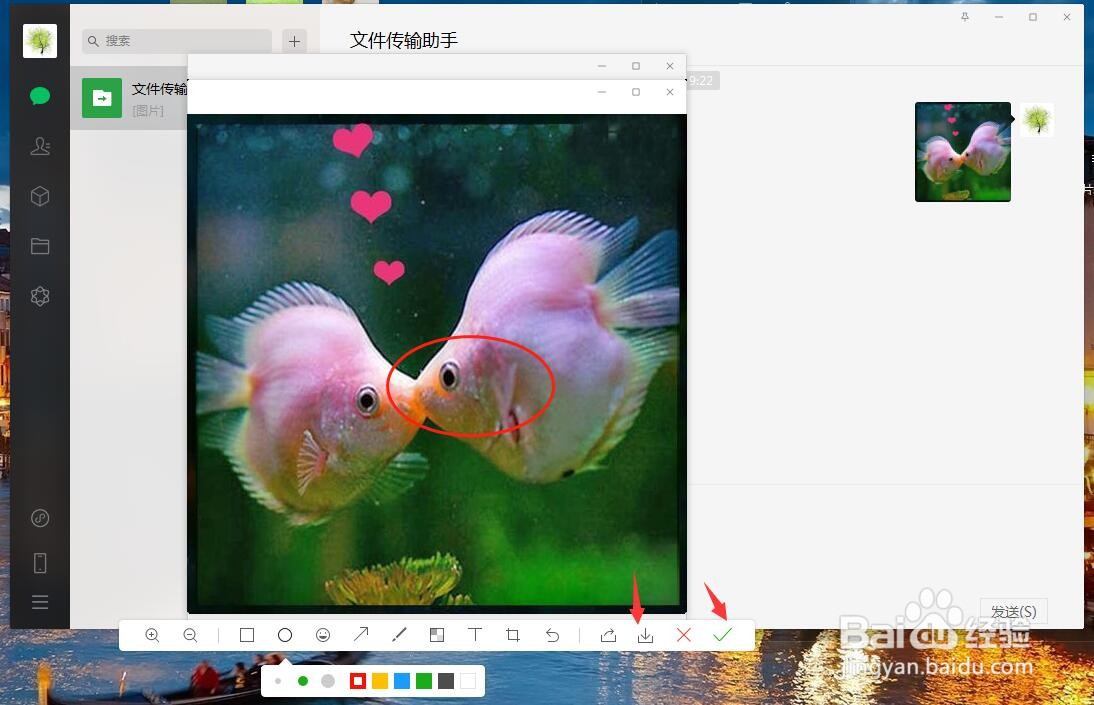 电脑微信如何对图片进行椭圆形标注