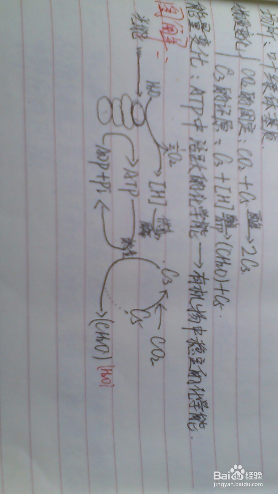 理科生学习高中生物技巧