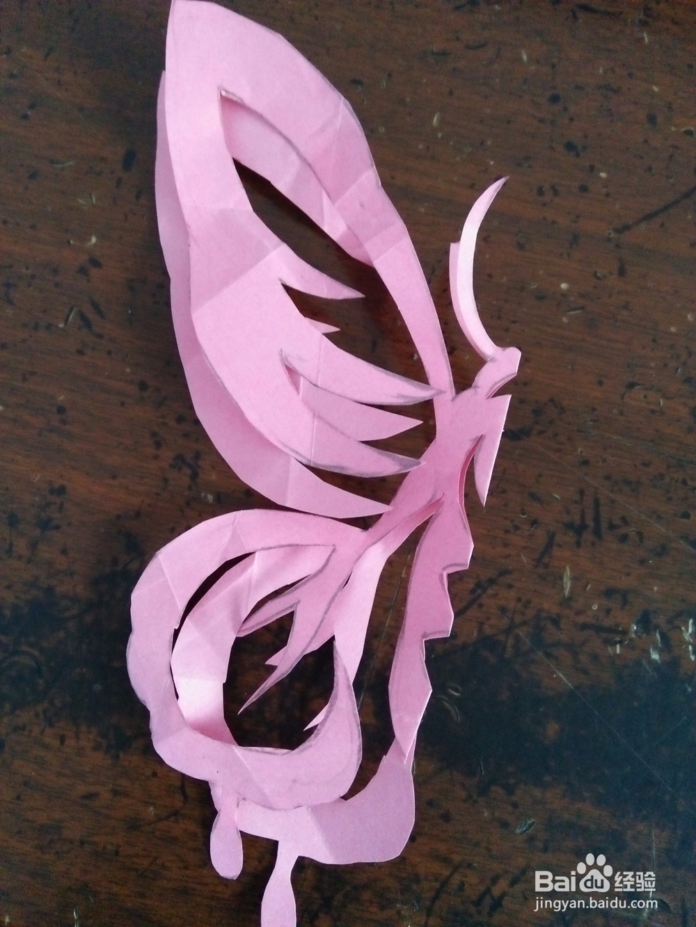 蝴蝶剪纸怎么剪（二）