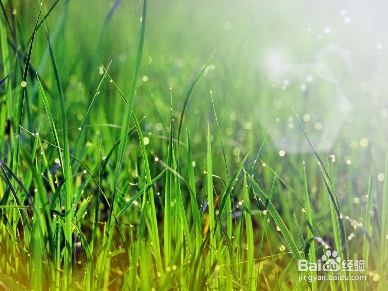 细说导致风湿病的病因有哪些