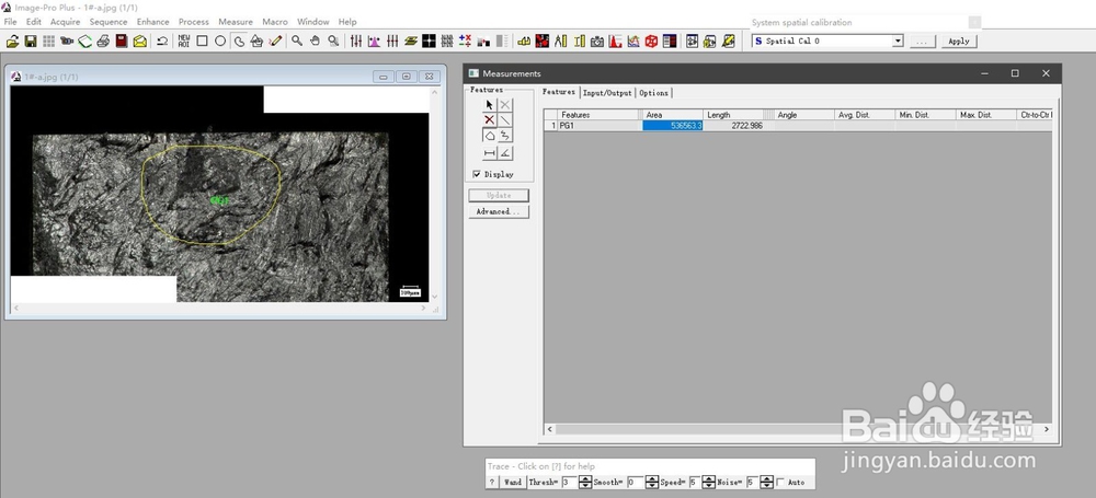 保存image-pro plus（IPP）软件的测量文件