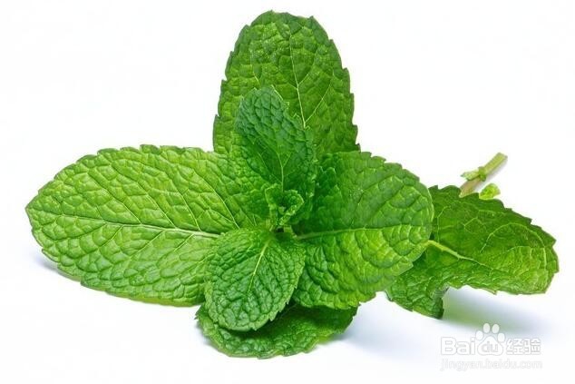 适合夏天吃的瓜果蔬菜(二)