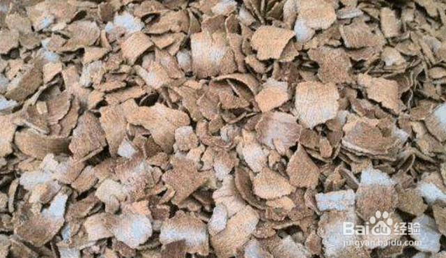 花卉苗木施用饼肥的注意事项