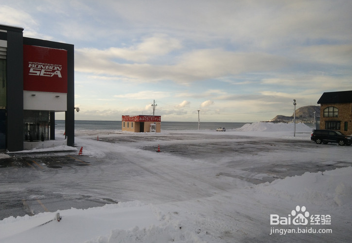 一条性价比爆棚的万元以下日本北海道观雪路线