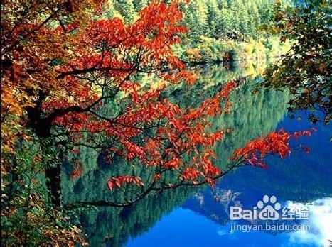 天堂小镇国内九大迷津