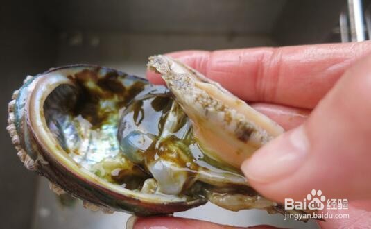 怎么做清蒸蚝油鲍鱼