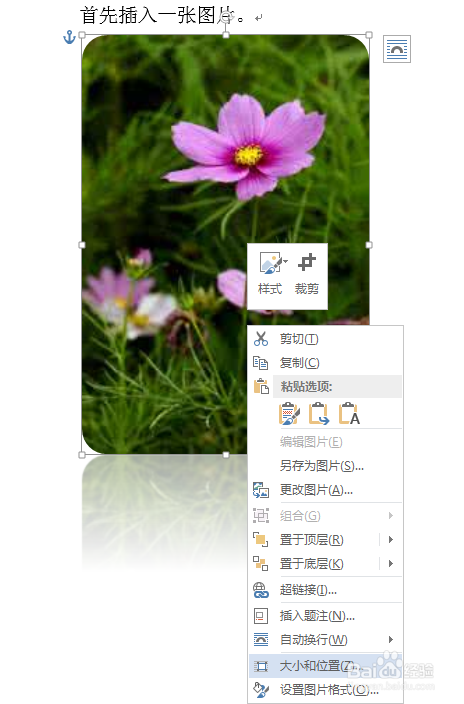 如何用word排版图片