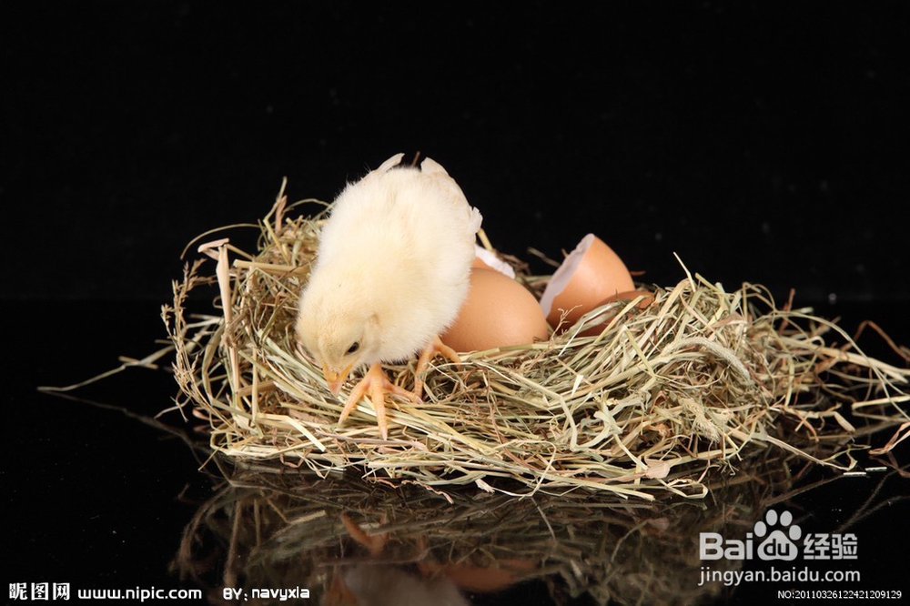 产后该怎么护理(个人心得)