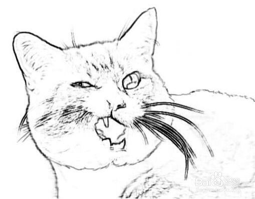 如何从彩色照片中提取它的黑白线稿