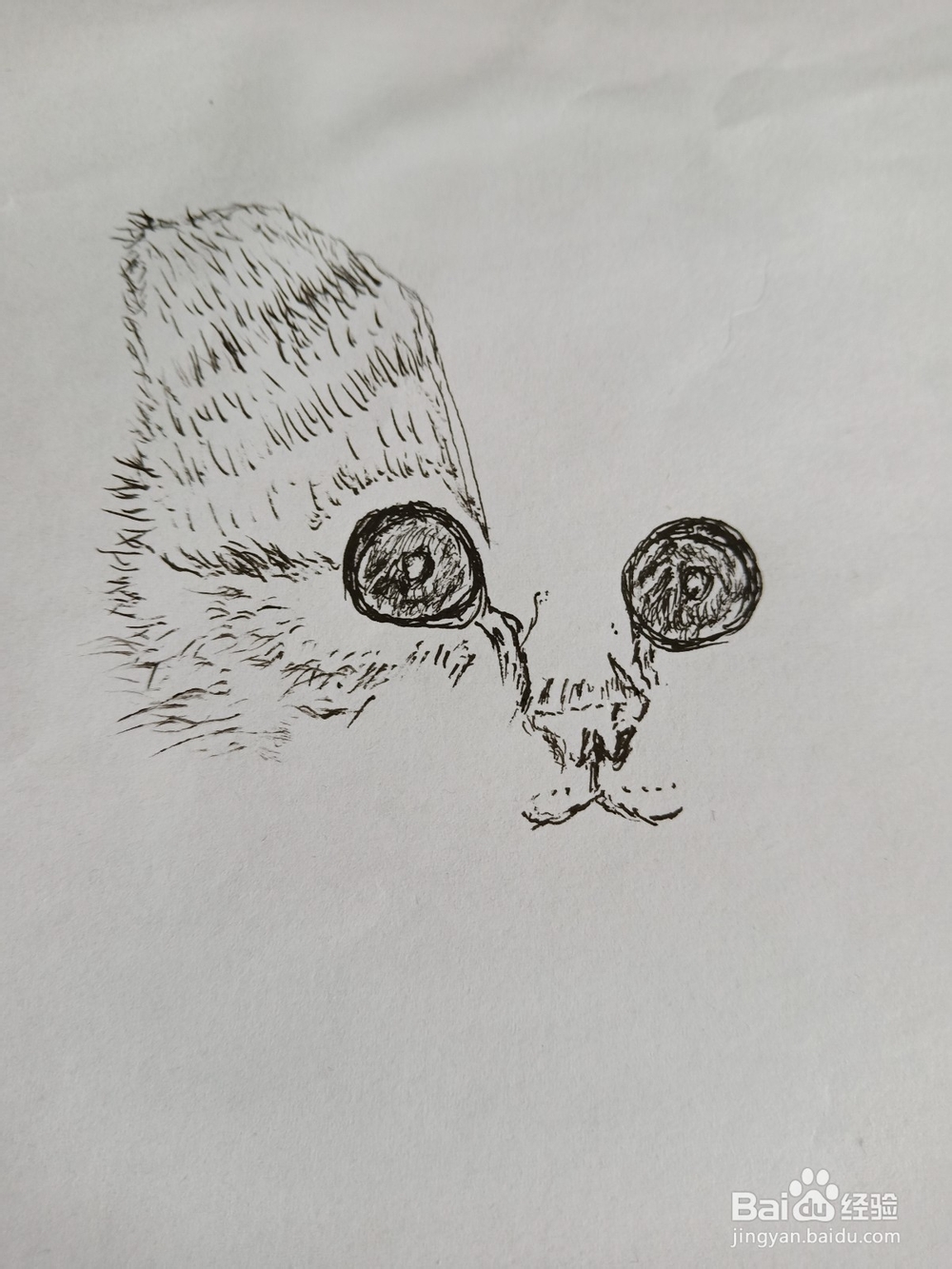 钢笔画猫的画法