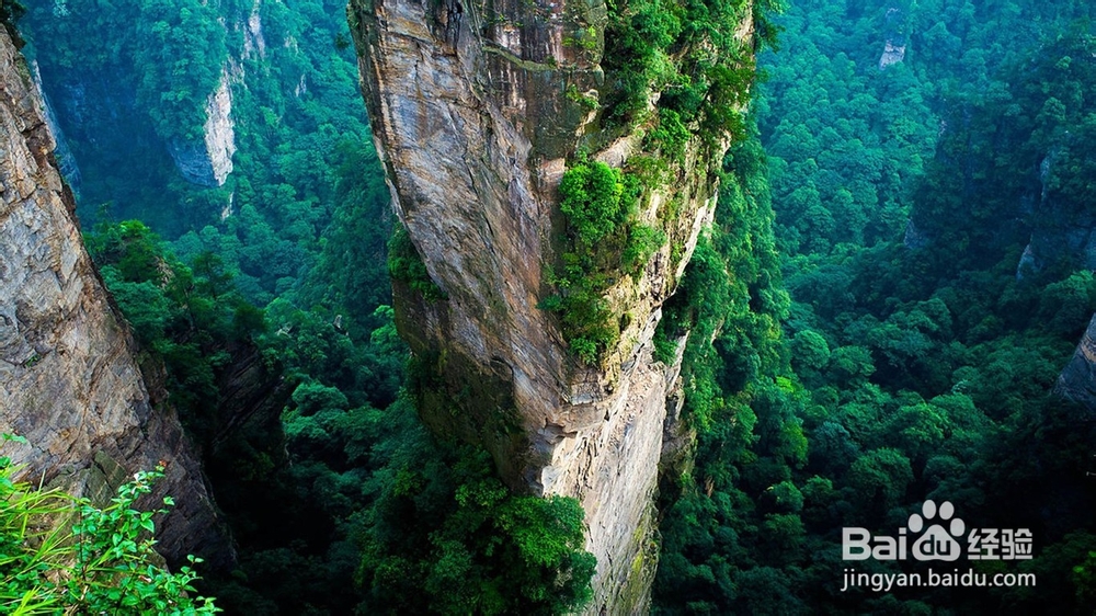 如何查看微信头像是本人的还是网络上下载的