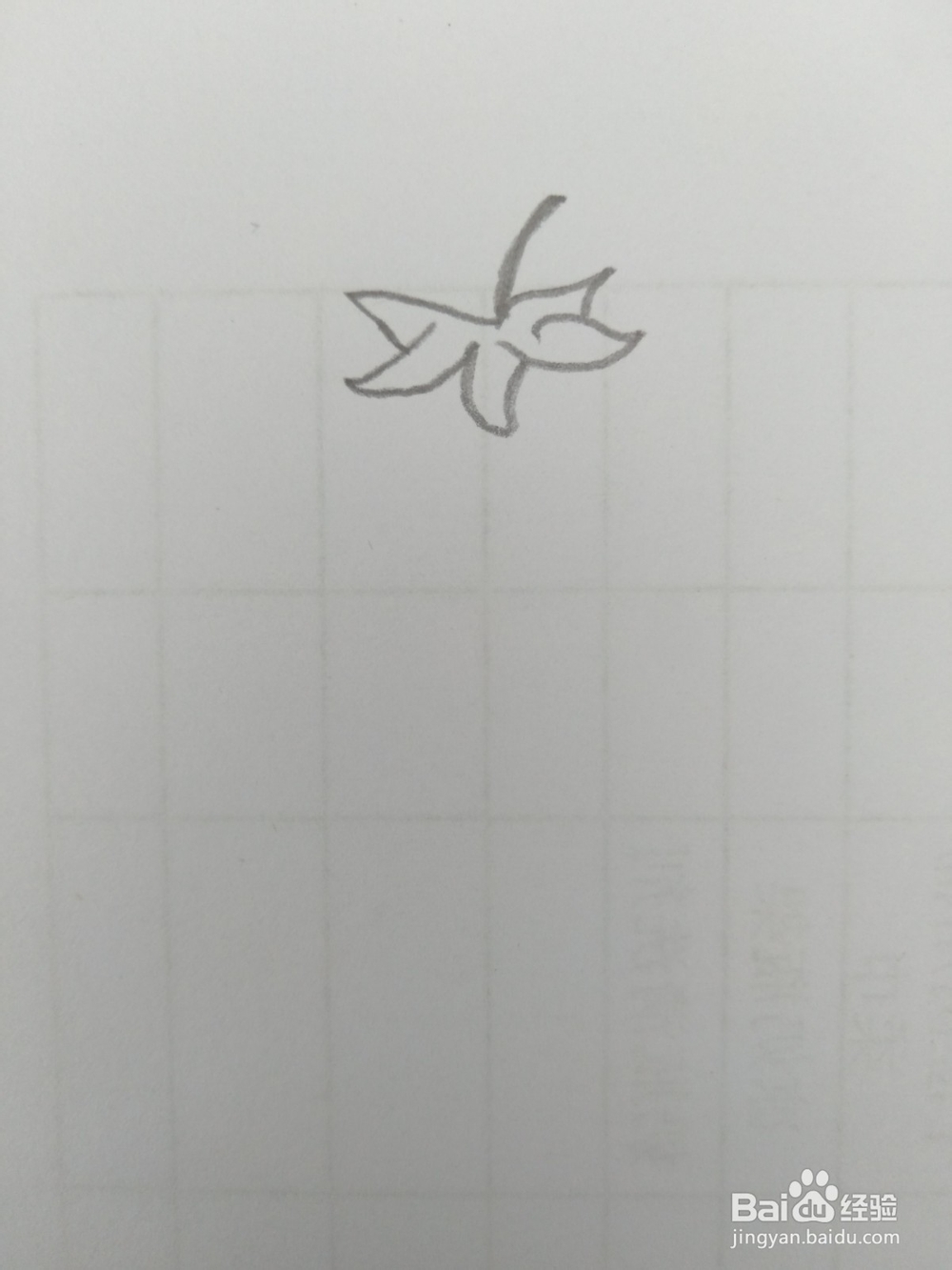 简笔画柿子画法二
