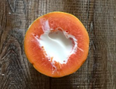 木瓜奶冻的做法