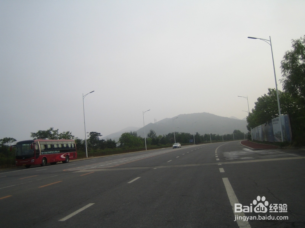 怎样告诉孩子安全过马路--22
