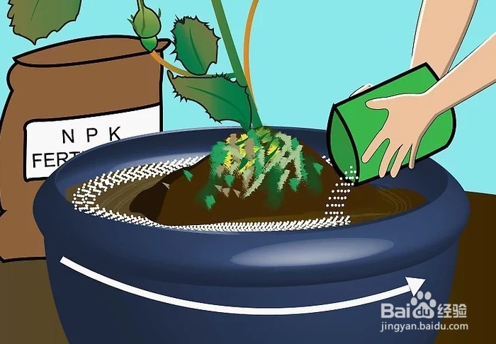 连栋大棚如何种植葡萄