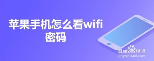 苹果手机怎么看wifi密码