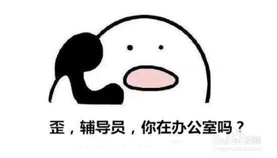 对辅导员的建议