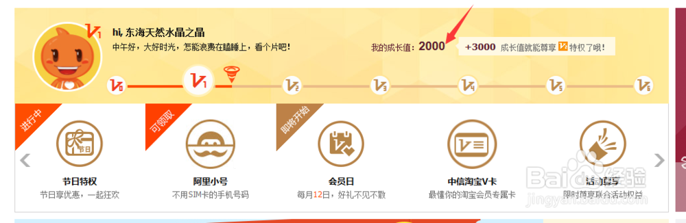 淘宝信誉等级和会员等级如何提升