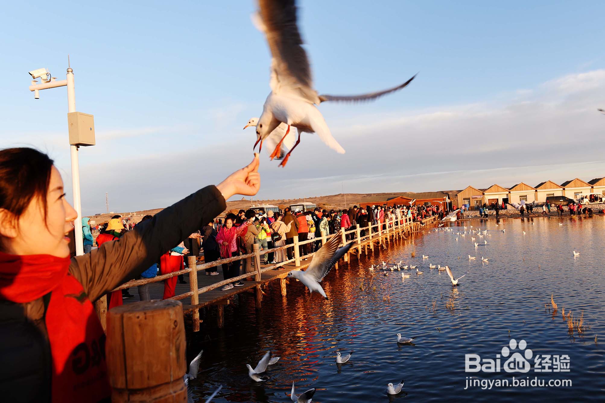 秋天 奔赴一场山长水阔